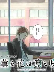 综艺分类 热门真人秀